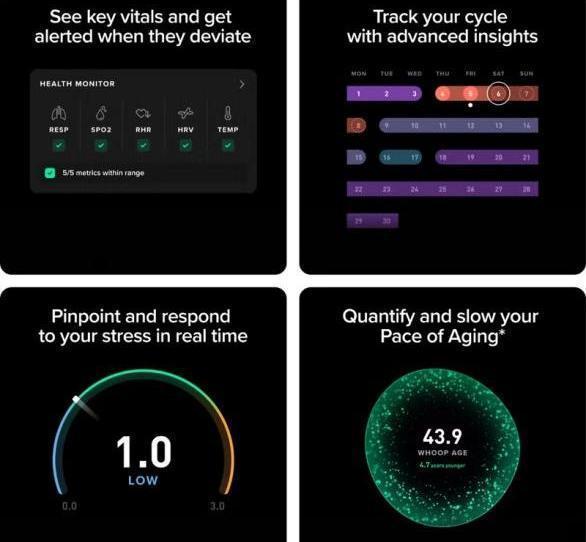 Peak – 12-Month Membership – 5.0 Health and Fitness Wearable – 24/7 Activity and Sleep Tracker with Heart Rate, HRV, Stress Monitor, Personalized Coaching, Healthspan – 14+ Days Battery Life - Peak On